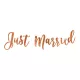Esküvői banner – Just Married – Rose Gold