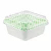 3 darabos műanyag, négyzet alakú süteményes doboz tetővel – Zöld