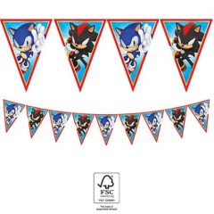 Zászlófüzér - Sonic a sündisznó