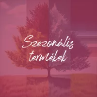 Ünnepek és ünnepnapok